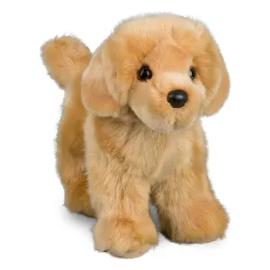 Chap Golden Retriever