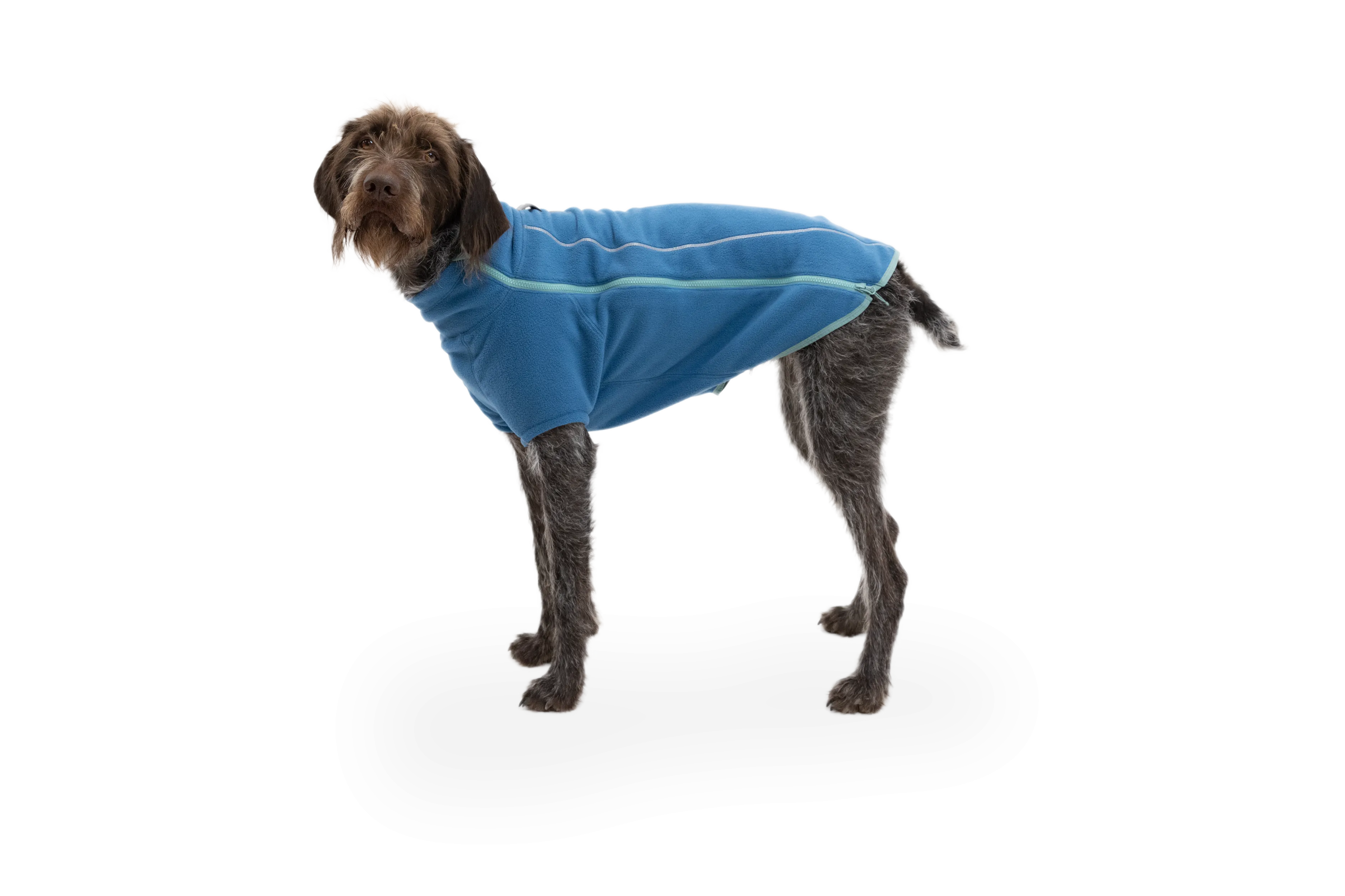 Climate Changer™ Dog Fleece