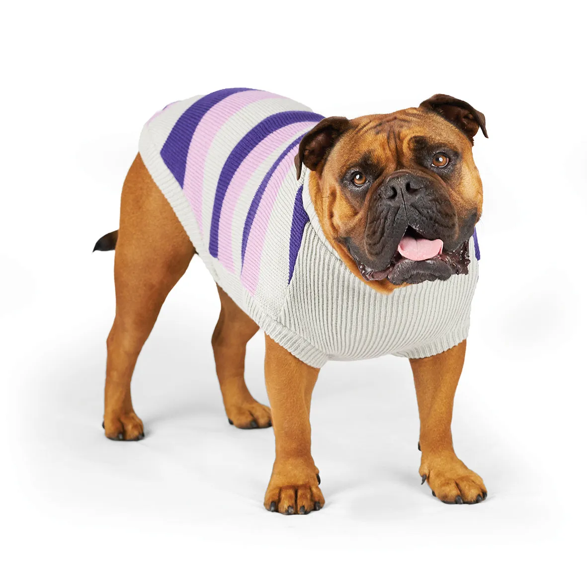 Kazoo Apparel Bumble Dog Jumper Lavender Medium ***