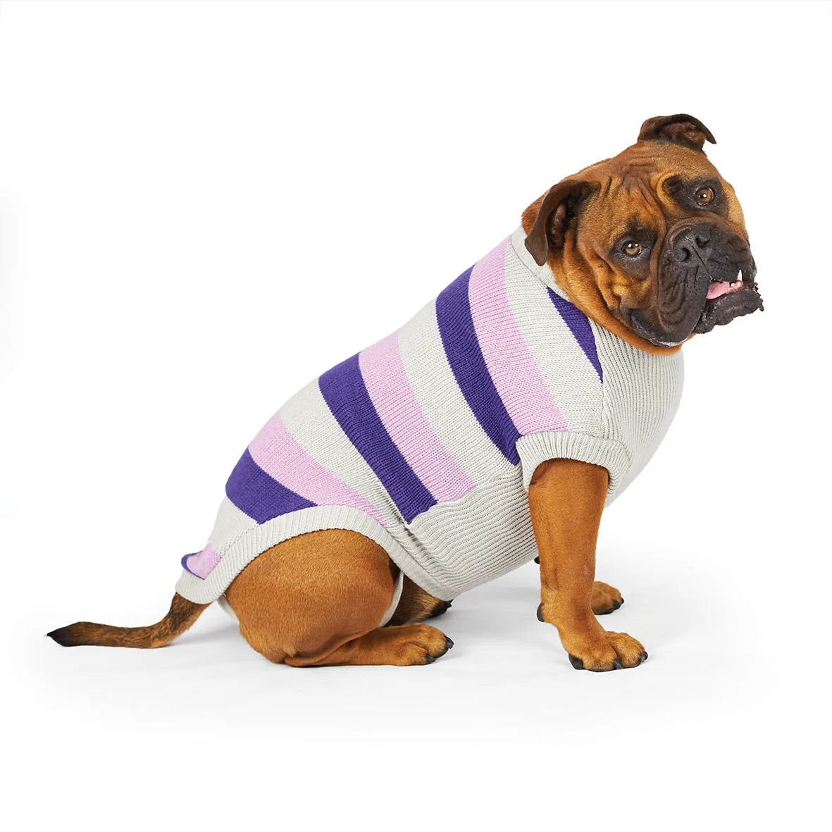 Kazoo Apparel Bumble Dog Jumper Lavender Medium ***