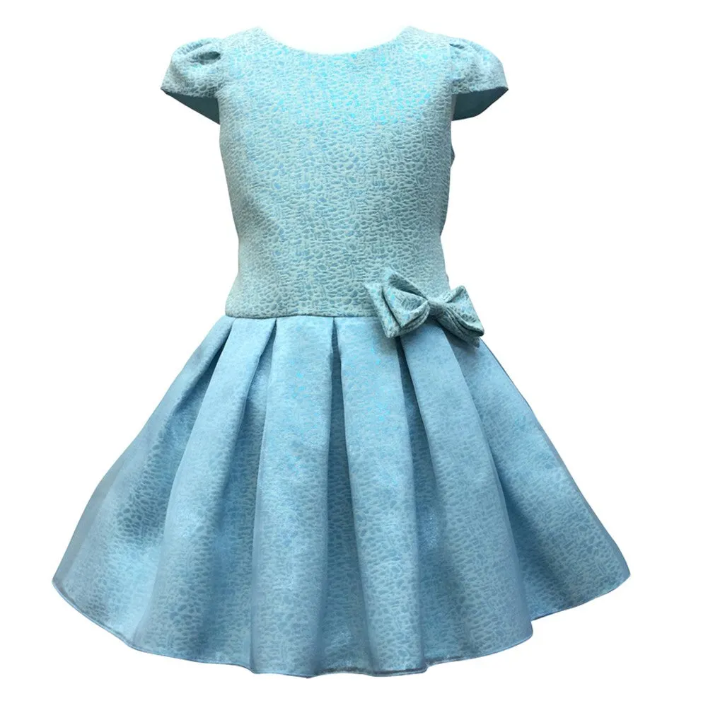 Little Girls Blue Organza Overlay Pleated Flower Girl Dress 2-6